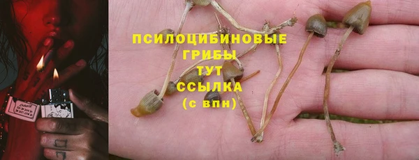 прущая мука Остров