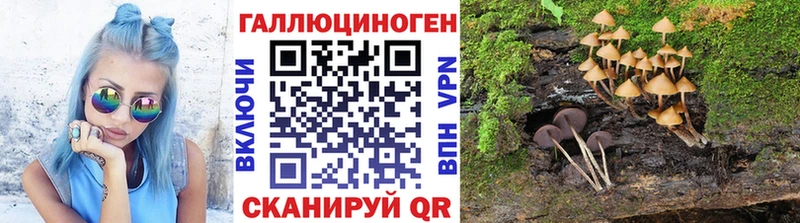 магазин  наркотиков  Теберда  Псилоцибиновые грибы GOLDEN TEACHER 